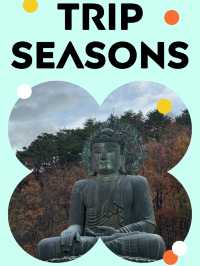 “구름 위를 걷는 듯한 하루, 설악산 힐링 산행 가이드⛰️🍁”