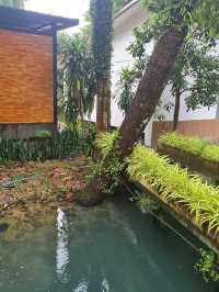 ติดเกาะช้างที่ โรงแรม Nature beach 