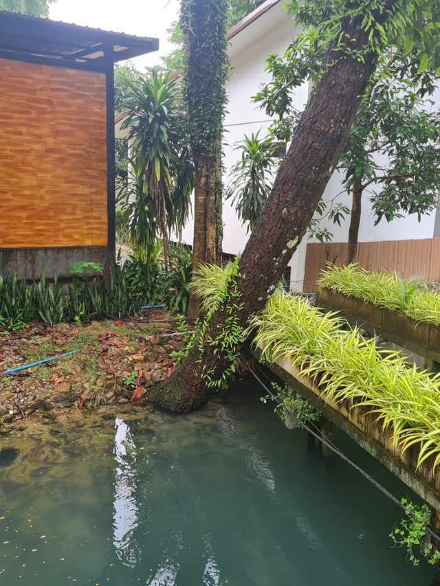 ติดเกาะช้างที่ โรงแรม Nature beach 