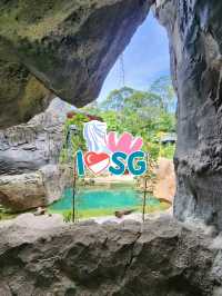 🌳🐒 “Step into the Wild!” – Asian Rainforest Adventure Singapore 