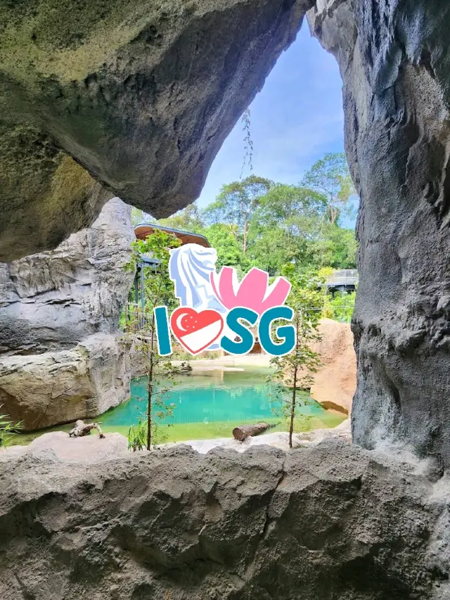 🌳🐒 “Step into the Wild!” – Asian Rainforest Adventure Singapore