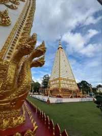 Shiny Gold at Wat Phra That Nong Bua