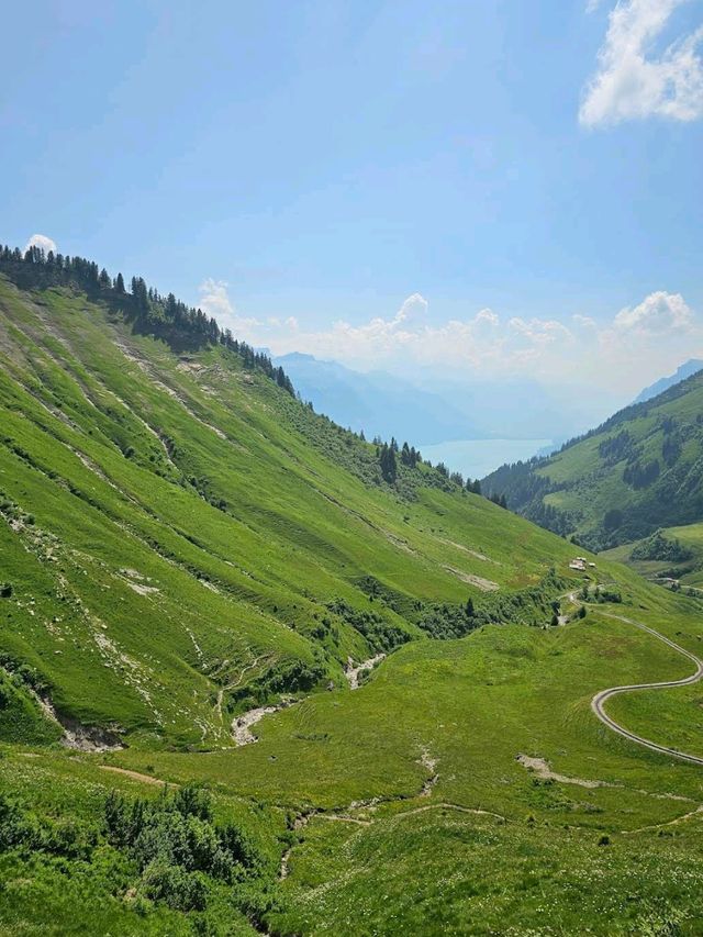 Brienzer Rothorn Steam Train