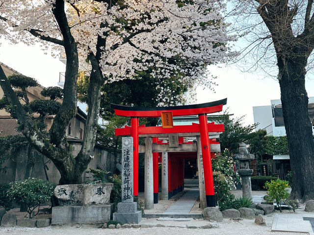 Kushida Shrine | Fukuoka