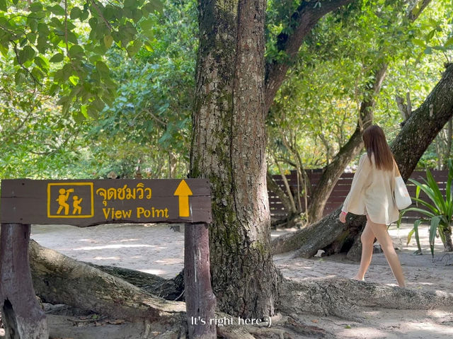 🌊✨ เกาะสิมิลัน พังงา – น้ำใส ทรายขาว