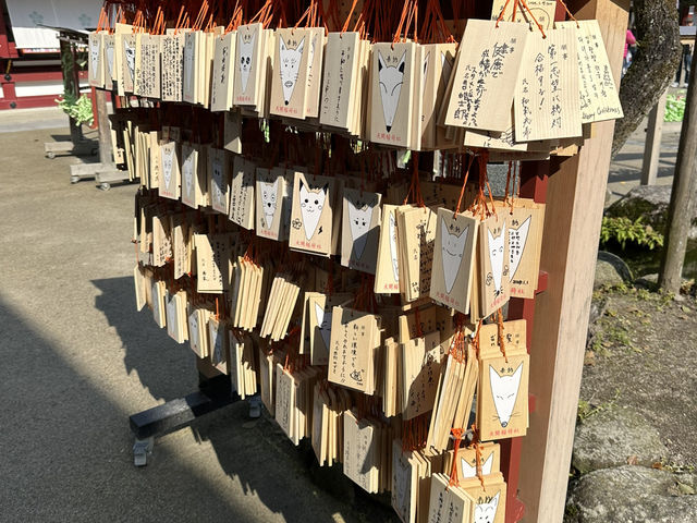 ［福岡🇯🇵］供奉學問🎓 ｜古鎮遊船🚣體驗