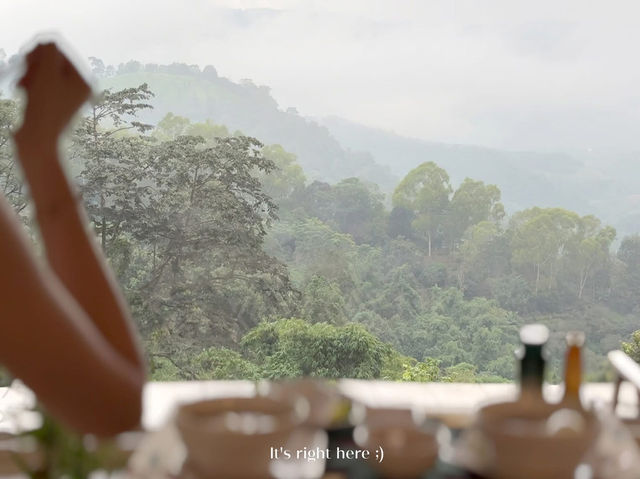 🌿 ร่องหมอก โฮมสเตย์ ดอยช้าง