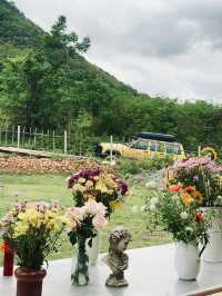⛰️ Daylulu - Homestay 🏡