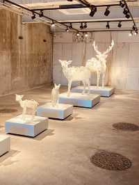 Contemporary Art in a Cinematic Wonderland