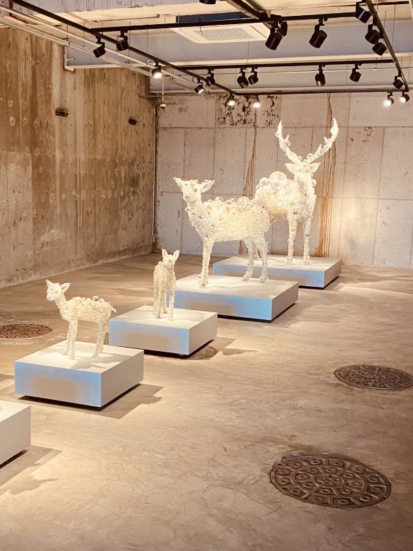 Contemporary Art in a Cinematic Wonderland