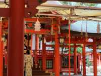 神戶鬧區內的櫻花秘境/生田神社