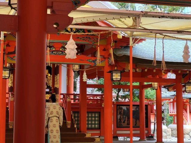 神戶鬧區內的櫻花秘境/生田神社