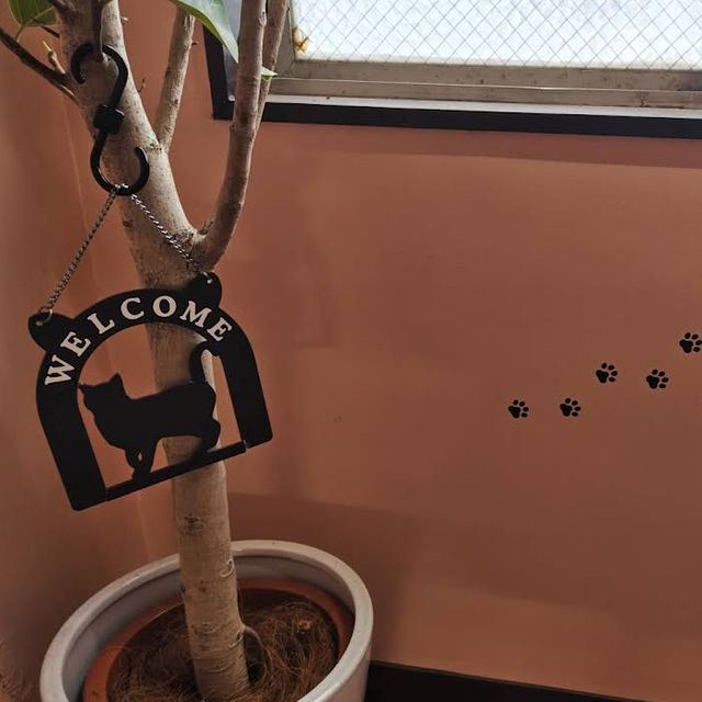 【東京/阿佐谷🇯🇵】温かいカフェ☕🐱 COFFEE&BAKE achoo!