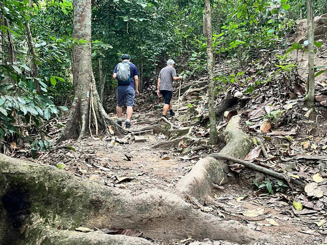 🏞 Gunung Lambak: Conquered the Jungle Beast!