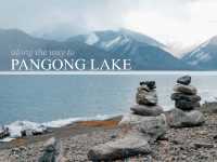Along the way to PANGONG lake 🚌🌿❄️