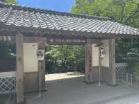 摸下真既金 佐渡既象徵！
