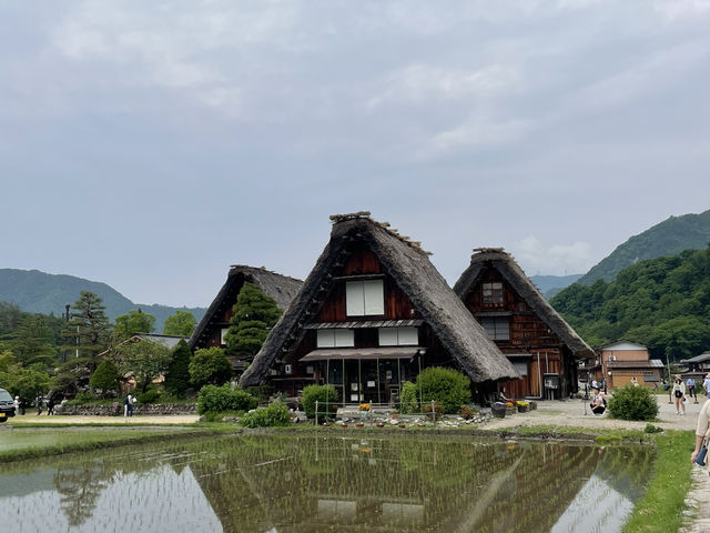 日本｜名古屋×北陸7天6夜｜從城市風味到山岳絕景，一趟兼具溫度與風景的夏日之旅🌿❄️