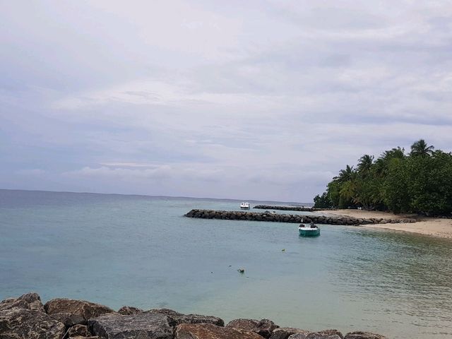 "Discover Local Life on Rasdhoo Island, Maldives 🏝️🌺🇲🇻"