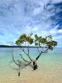 Island Calm and Mangrove Charm: Alibijaban, Quezon