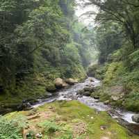 【宮崎】神話の扉を開く⛩️天岩戸神社で心を浄化する旅