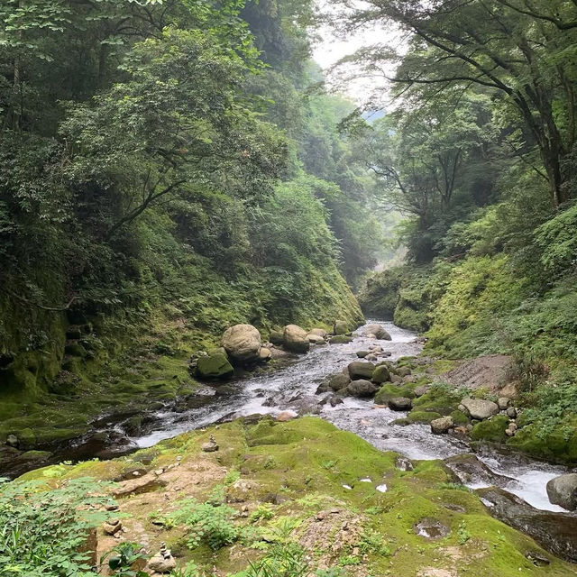 【宮崎】神話の扉を開く⛩️天岩戸神社で心を浄化する旅