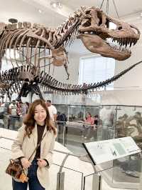 Unleash Your Inner Explorer: A Fun-Filled Adventure at the American Museum of Natural History!