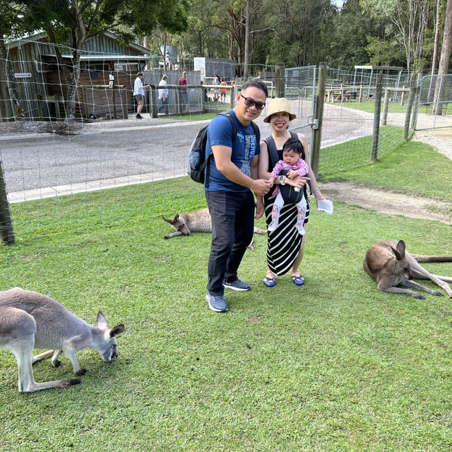 🌟Gold Coast 🇦🇺 Getaway 🌴