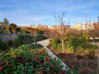 Parque Central Is Valencia’s Secret Green Spot