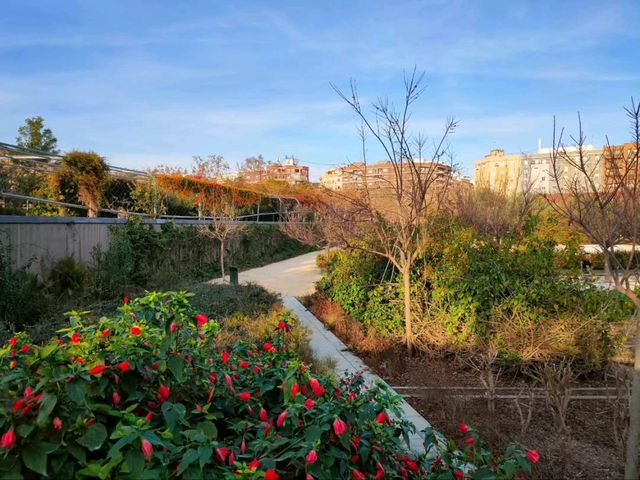Parque Central Is Valencia’s Secret Green Spot