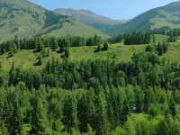 Shuttle Bus to Visitor Center Required Upon Entering Scenic Area