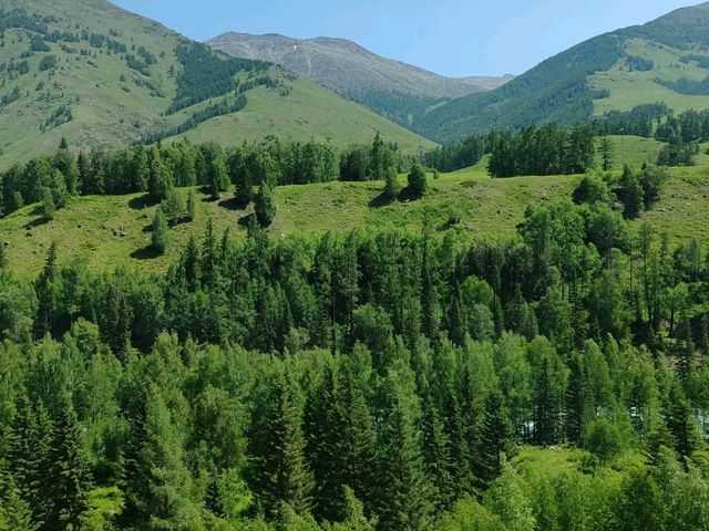 Shuttle Bus to Visitor Center Required Upon Entering Scenic Area