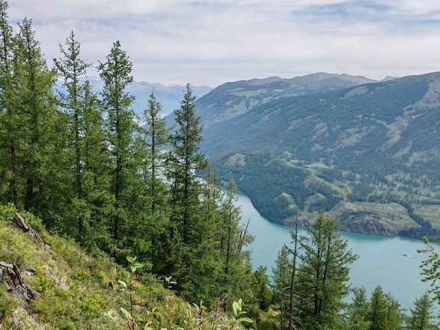 Reaching the Summit: A Feast for the Eyes