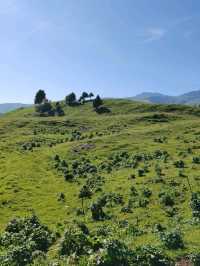 My First Horseback Riding Adventure on the Grassland