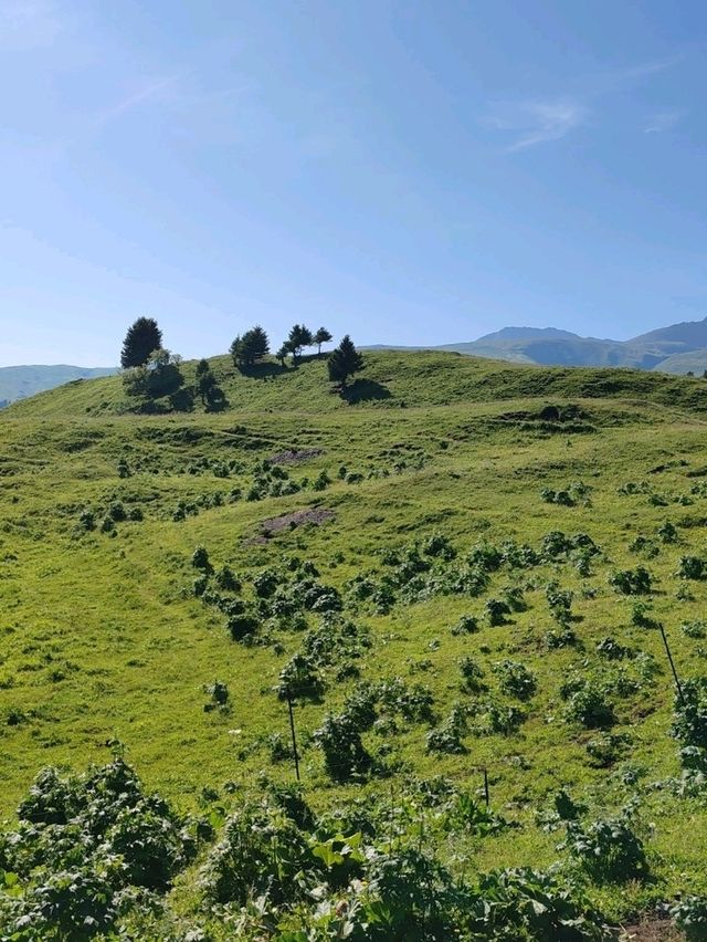 My First Horseback Riding Adventure on the Grassland