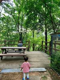 Park Trail