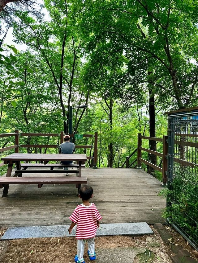 Park Trail