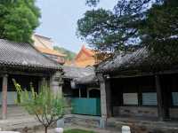 The Quiet Charm of Qinghua Studio, Summer Palace