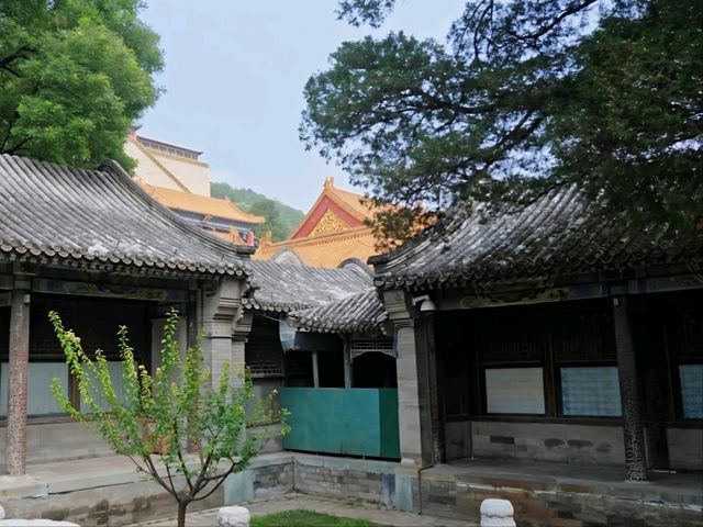 The Quiet Charm of Qinghua Studio, Summer Palace
