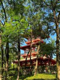 🌿A Tranquil Retreat in Xi’an — Discover Fengqing Park