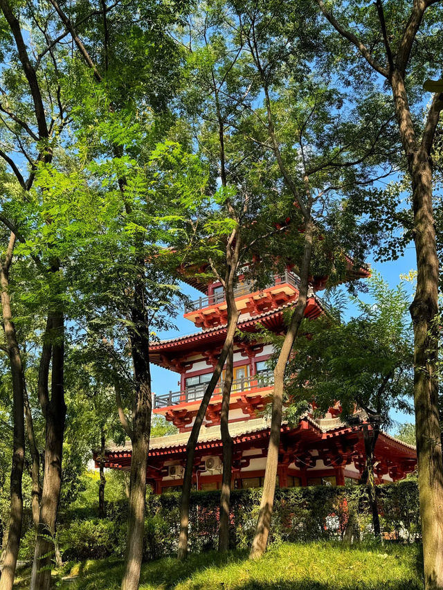 🌿A Tranquil Retreat in Xi’an — Discover Fengqing Park