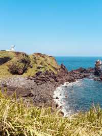 Convenient Access to Local Amenities and Seopjikoji