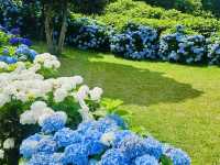 Accessible Cultural Heritage in a Peaceful, Floral Setting