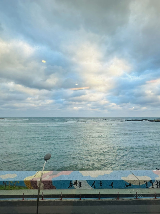 My beloved Jeju Island