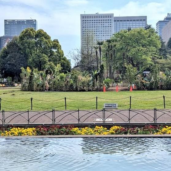 【東京/日比谷🇯🇵】日本初の洋風近代式公園✨日比谷公園 【東京/日比谷🇯🇵】日本初の洋風近代式公園✨日比谷公園