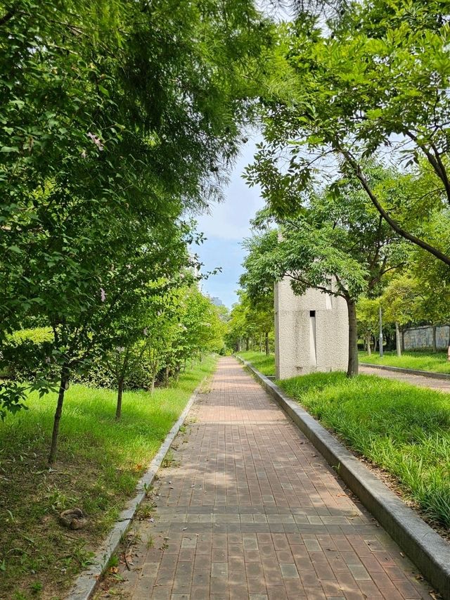 수원 효원공원 월화원 산책 놀기