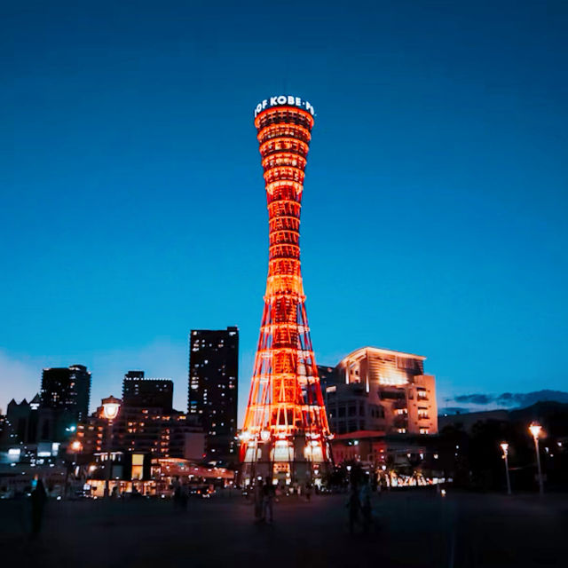 メリケンパーク🏙️🌃 メリケンパーク🏙️🌃