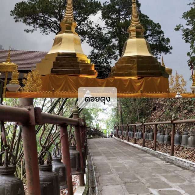 มัดรวม 6 ที่เที่ยวเชียงรายย ย  ย