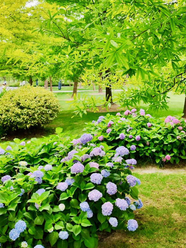  A Grand Legacy of Innovation and Green Space