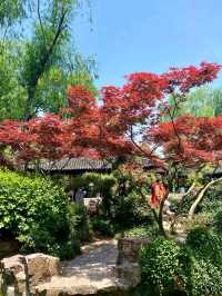 Ge Garden – Where Bamboo Whispers Meet Rockery Dreams