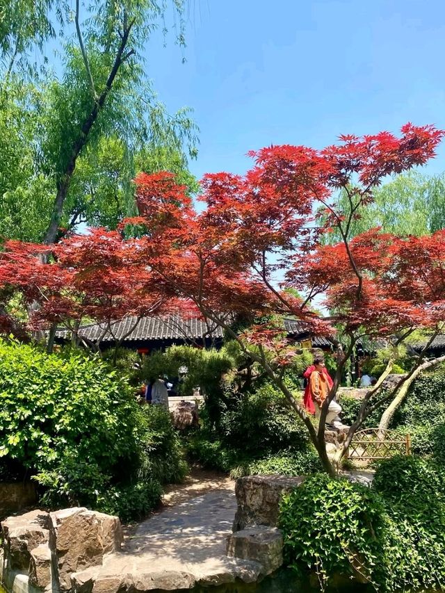 Ge Garden – Where Bamboo Whispers Meet Rockery Dreams